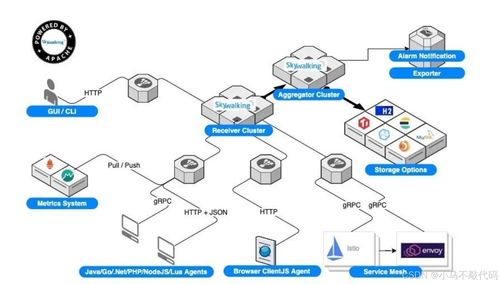 SkyWalking链路追踪系统深度解析 数据处理服务架构与核心机制